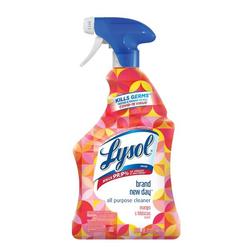 LYSOL 12-Pack 24-fl oz Island Breeze Foam Multipurpose Bathroom