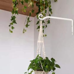 Nearly Natural Indoor String of Pearl Artificial Plant Hanging Basket
