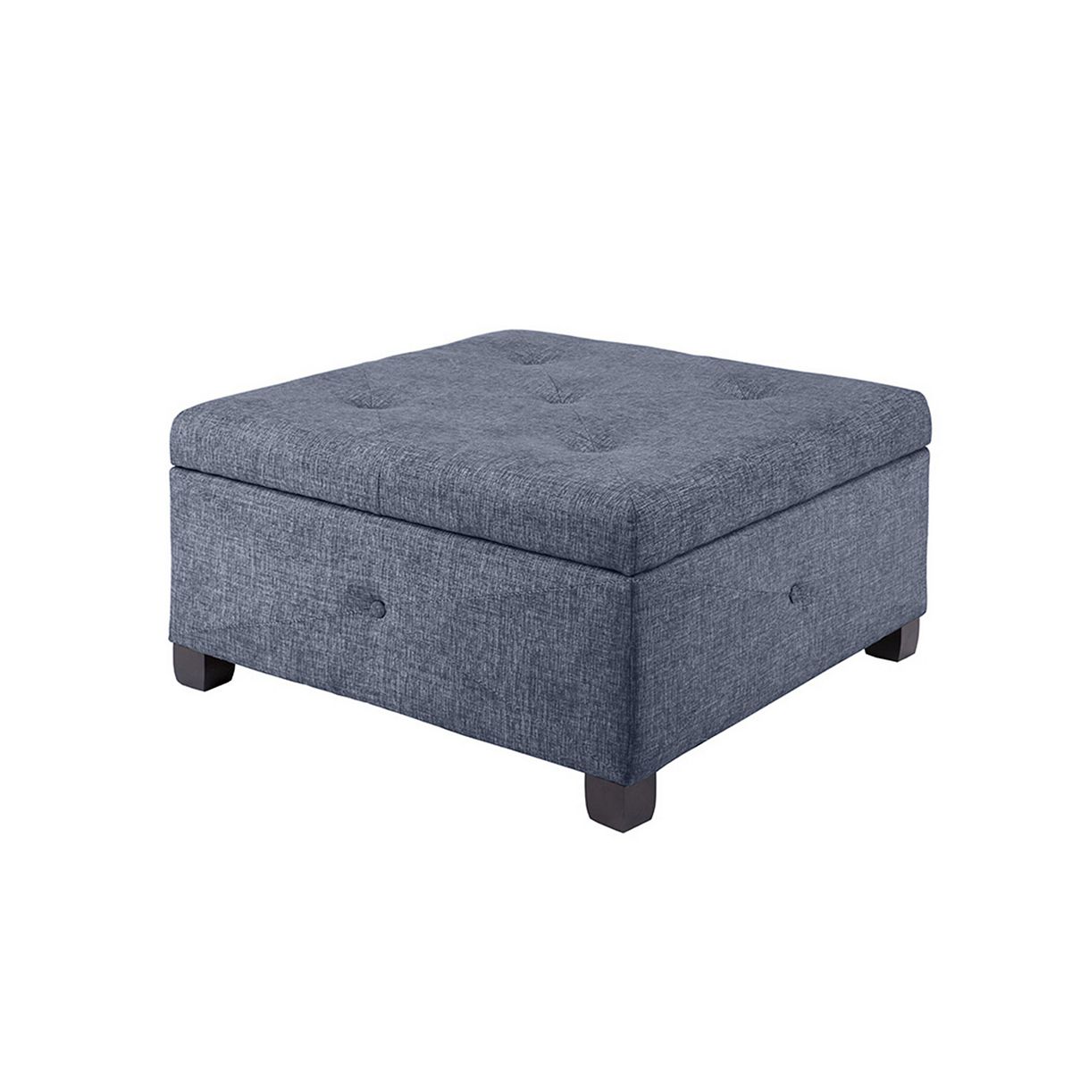 Madison Park Lucas Storage Ottoman, Blue Best Deals and Price History