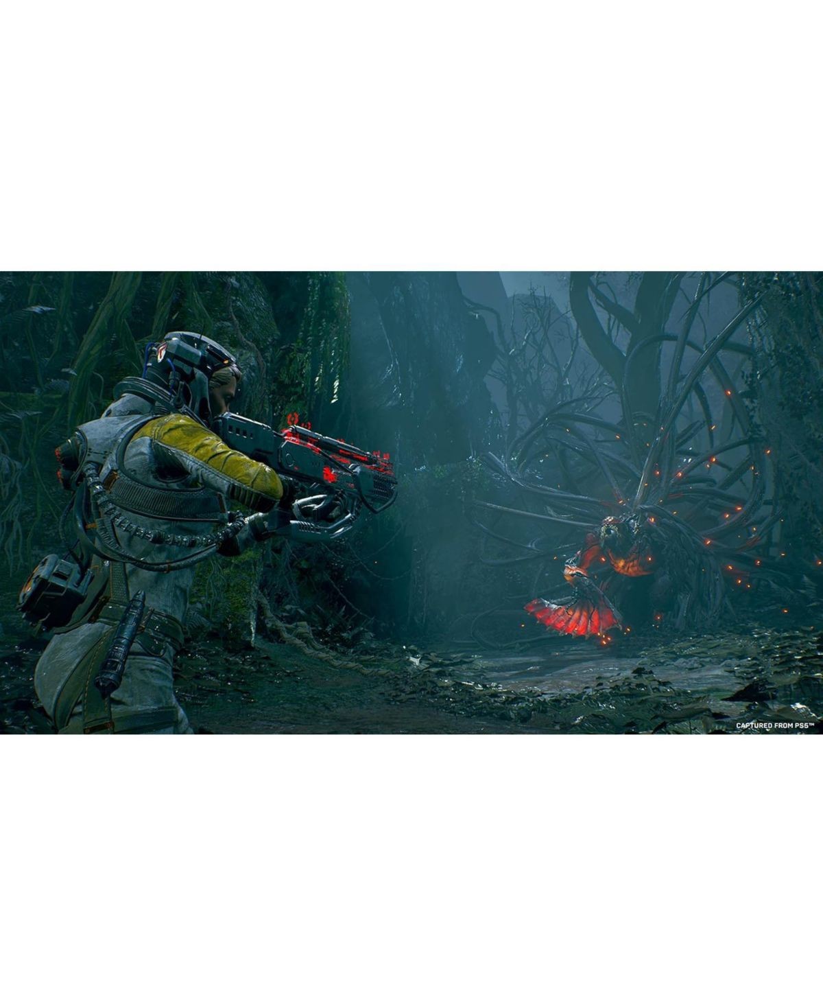 Imagen de producto 2