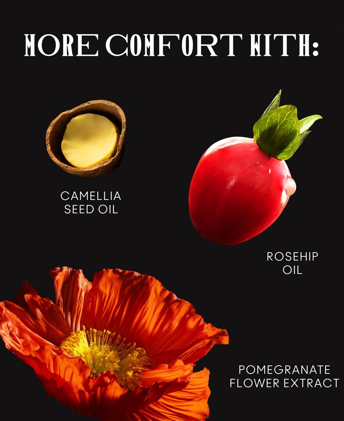 Imagen de producto 5