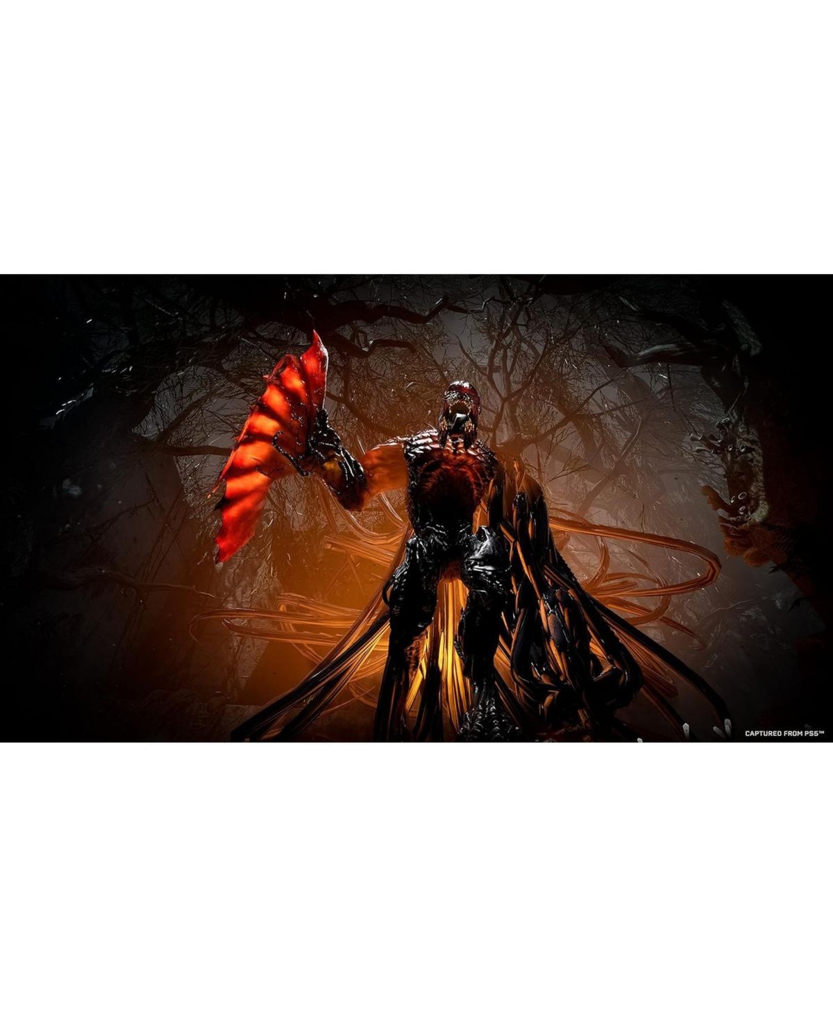 Imagen de producto 3