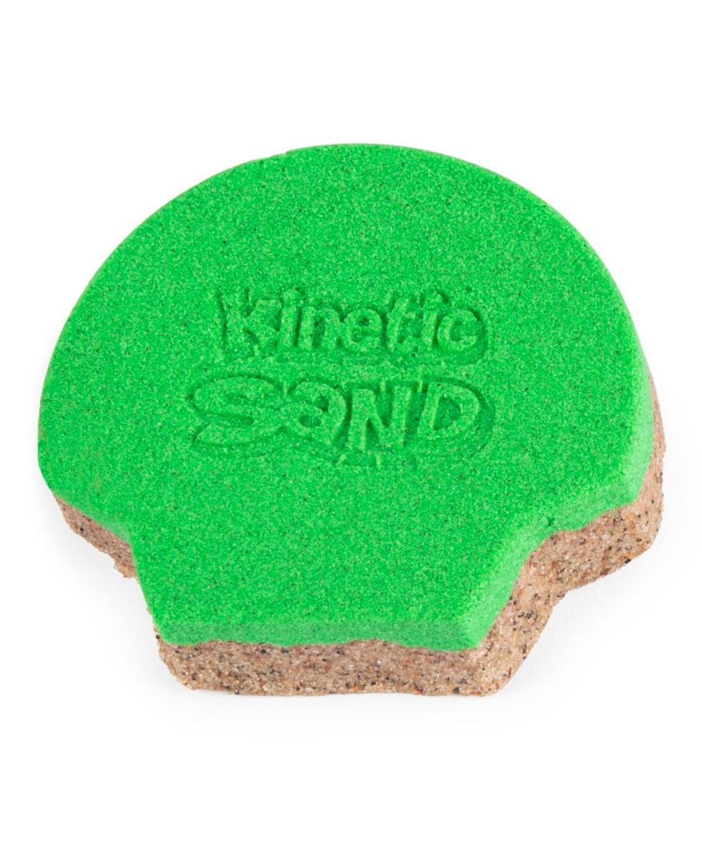 Sand, Seashell Containers 8Pack with 4 Neon Sand Colors and