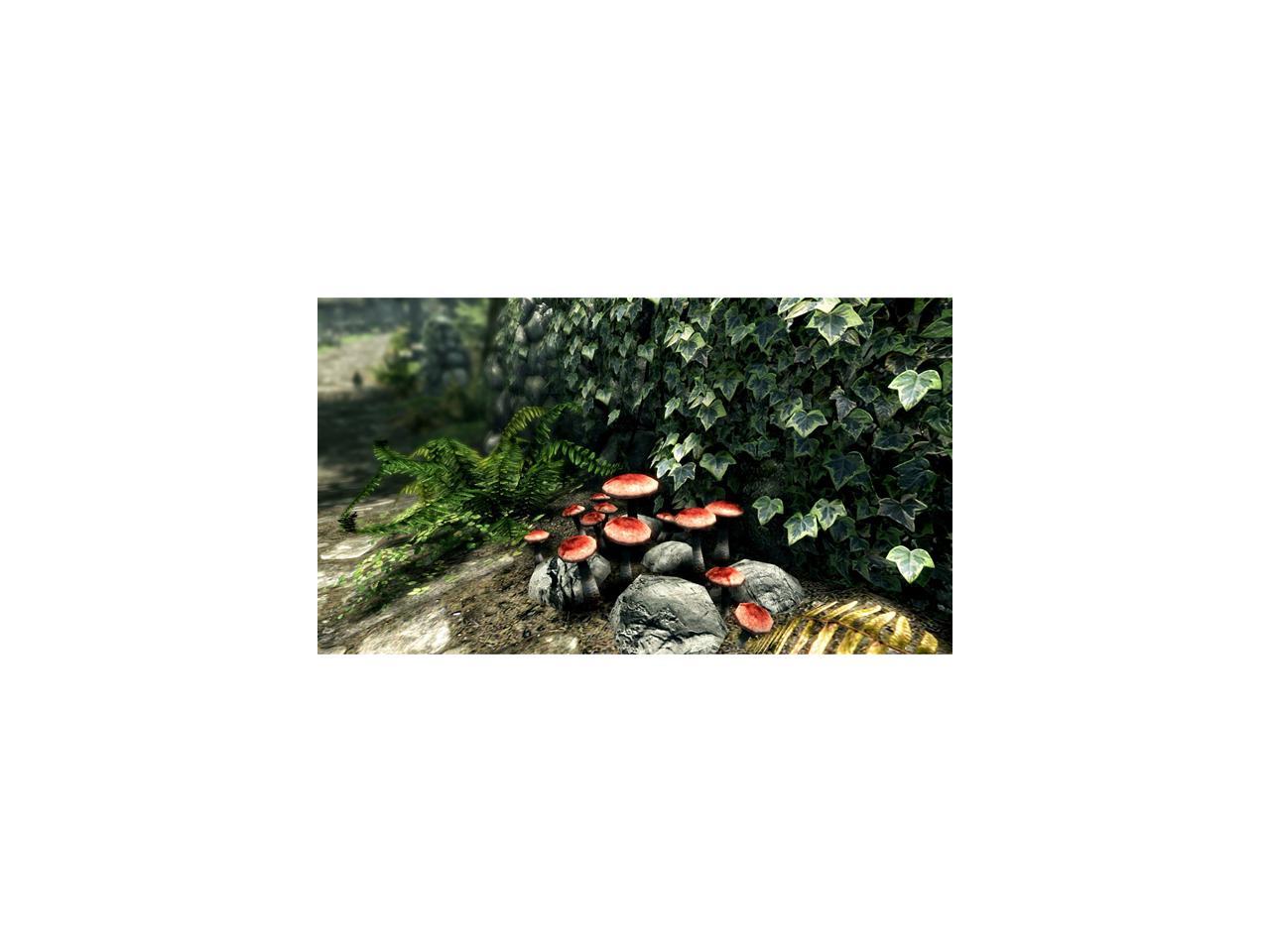 Imagen de producto 6