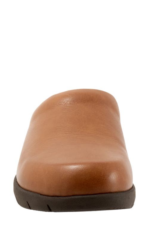 Immagine del prodotto 5