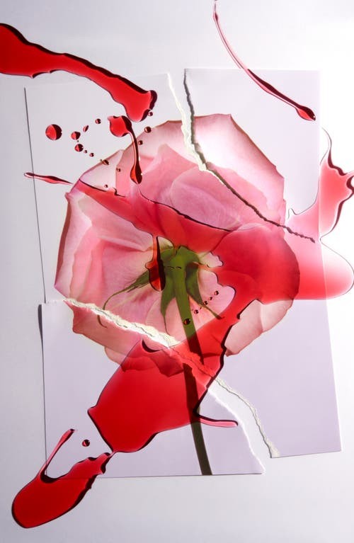 Imagen de producto 5