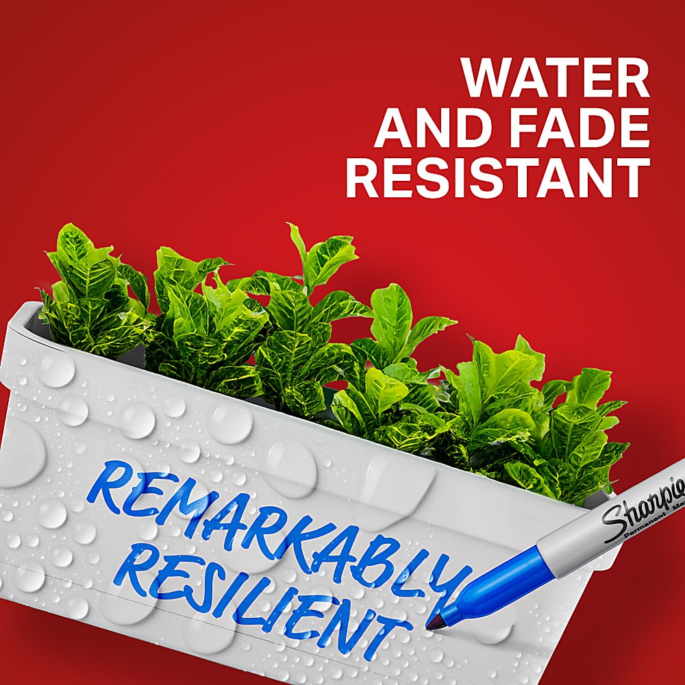 Immagine del prodotto 5