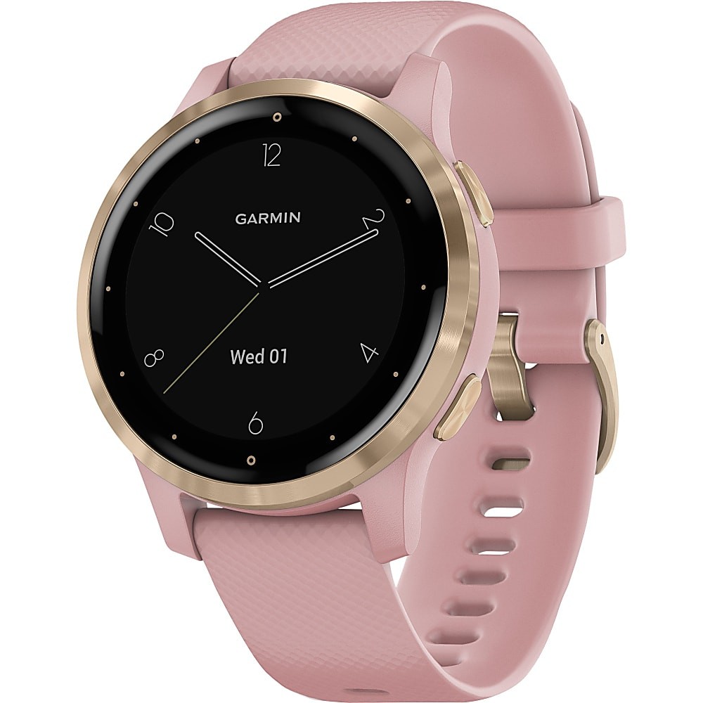 Garmin vÃ­voactive 4S GPS Watch- Touchscreen - Bluetooth - Wireless LAN ...