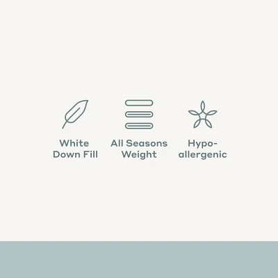 Imagen de producto 7