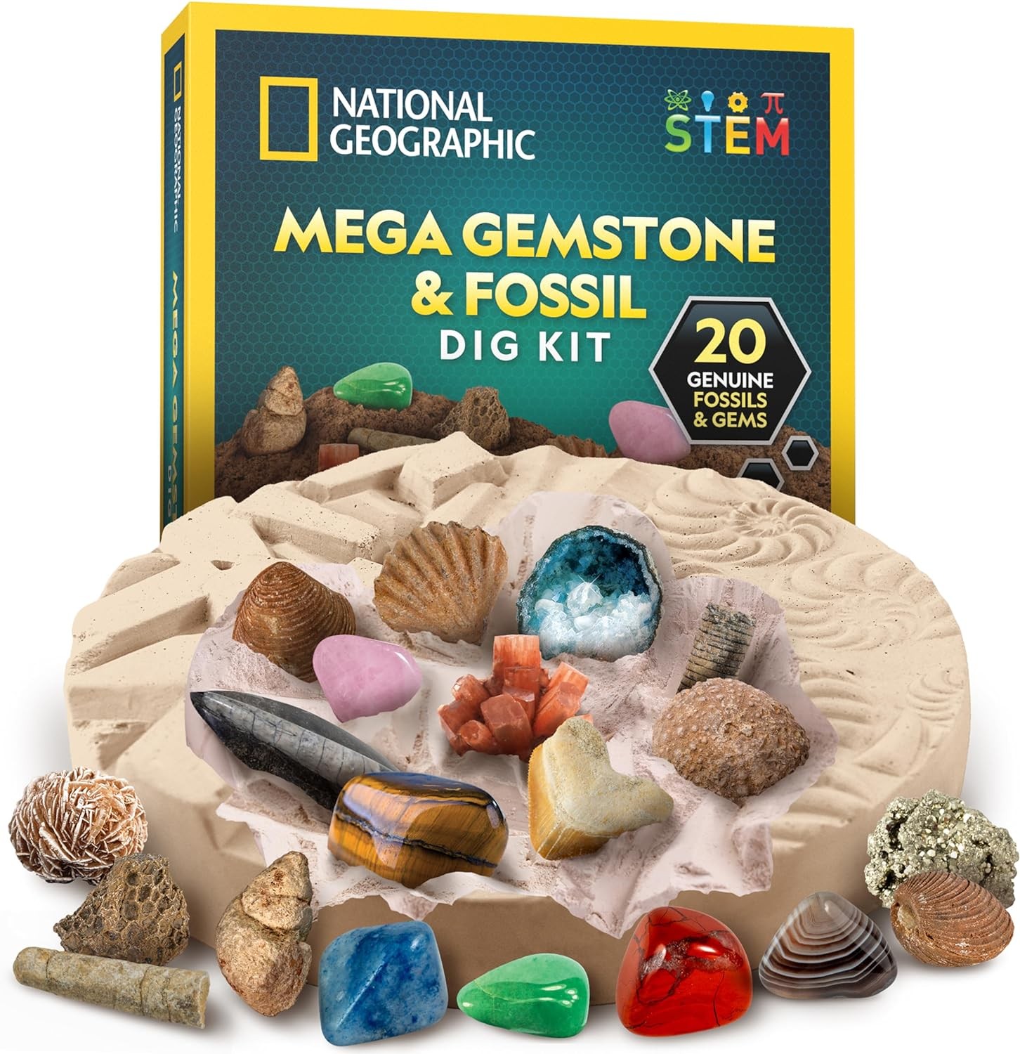 NATIONAL GEOGRAPHIC Mega Fossil and Gemstone Dig Kit - Excavate 20 Real ...