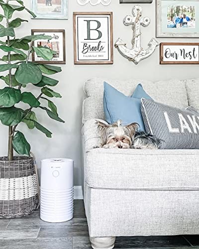 Imagen de producto 4