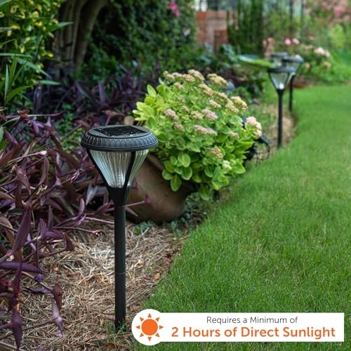 Imagen de producto 4