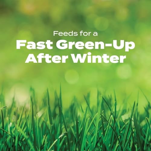 Imagen de producto 6