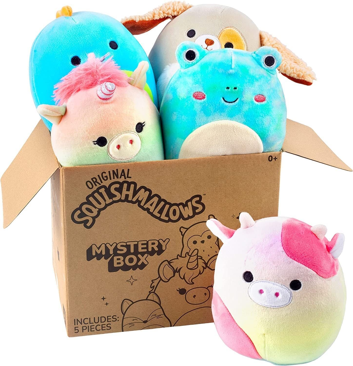 Founders Squishmallowwcsj News - k3emds1