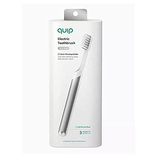 Quip Electric Toothbrush Silver Metal Electric Brush and Travel Cover Mount (New Edition
