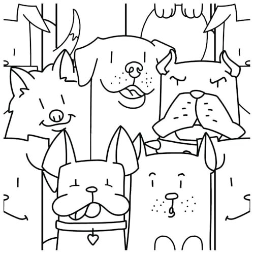 Immagine del prodotto 7