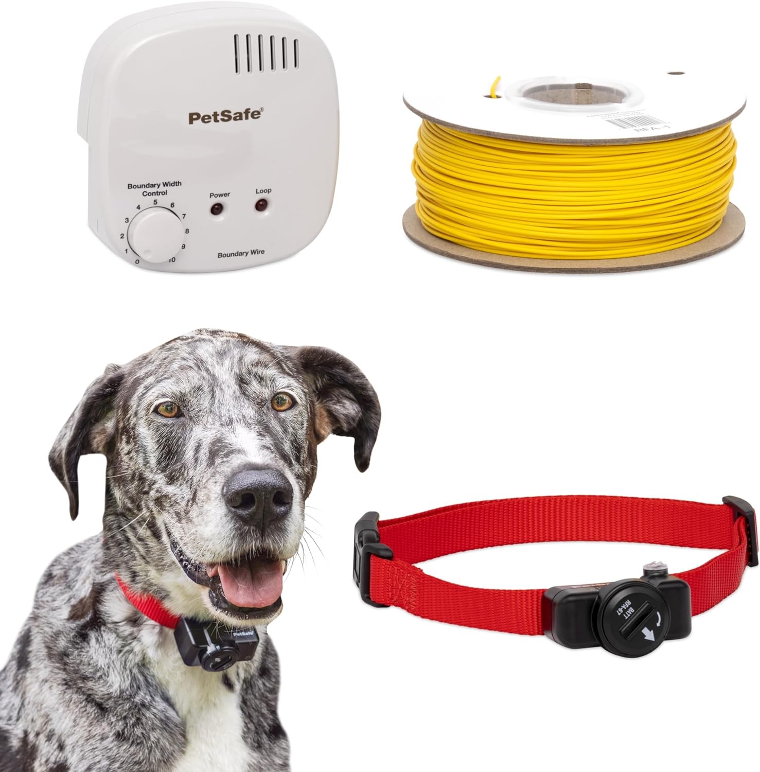 PetSafe Basic InGround Pet Fence from the Parent Company of