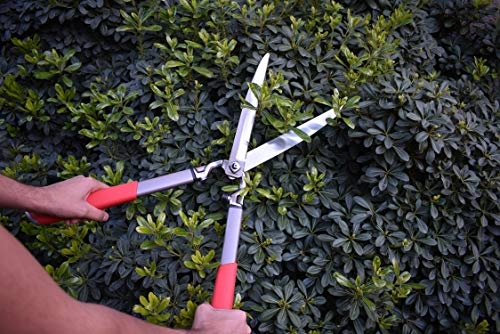 Imagen de producto 6