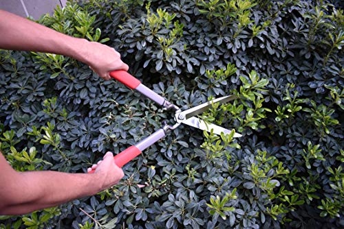 Imagen de producto 7