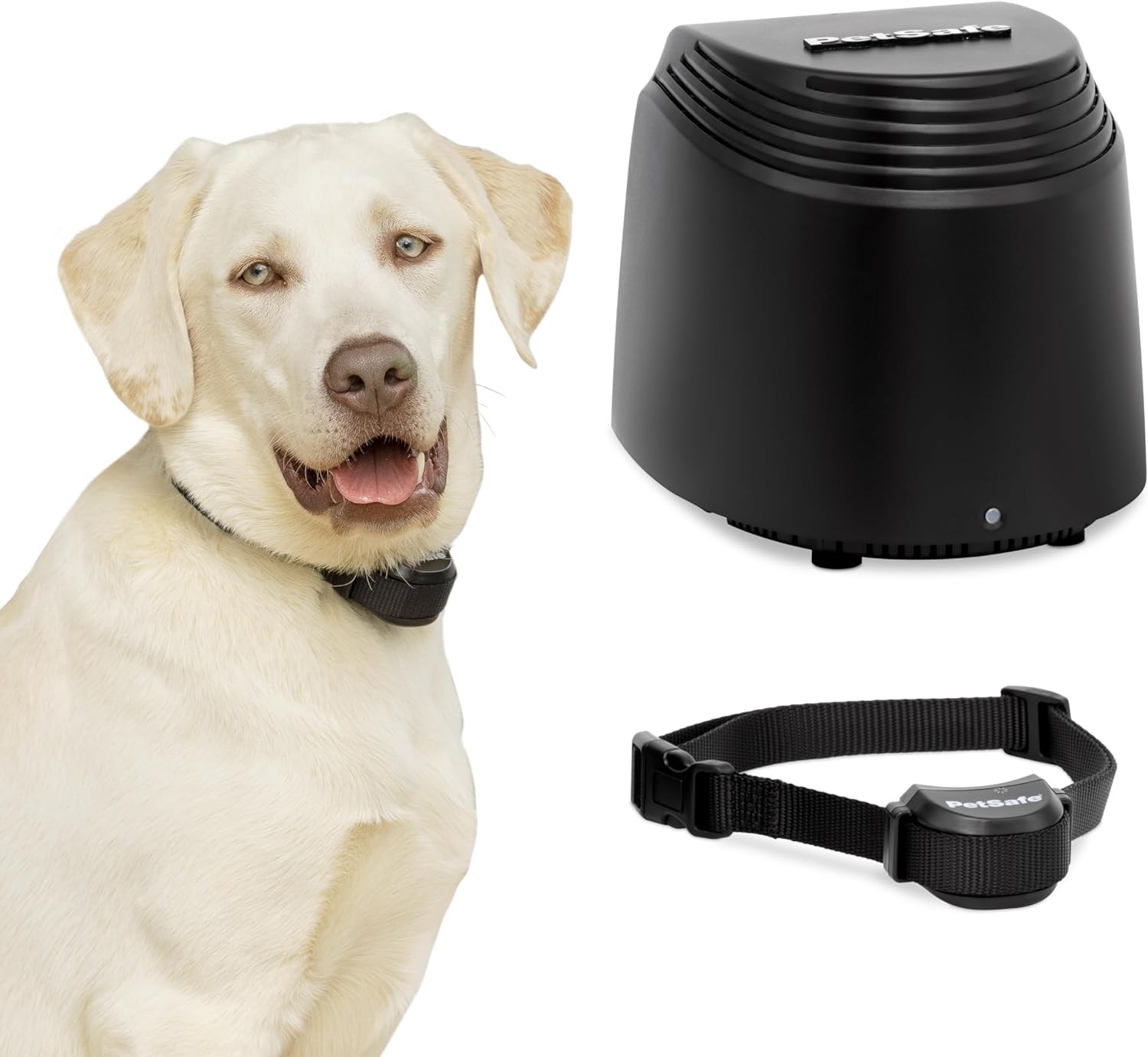 PetSafe Stay & Play Wireless Pet Fence & Replaceable Battery Collar