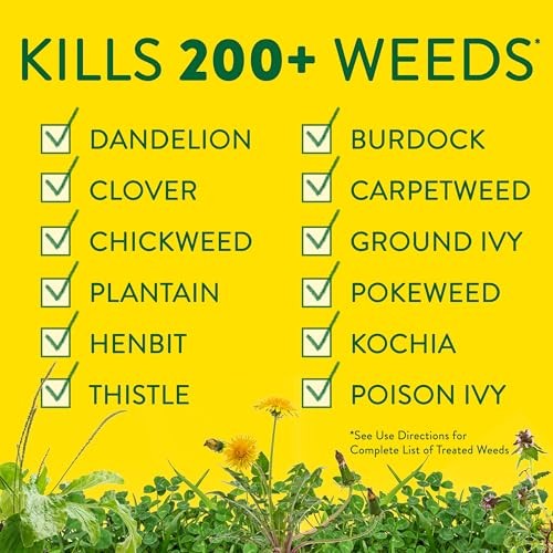 Imagen de producto 5