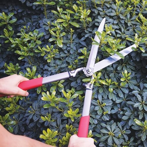 Imagen de producto 4