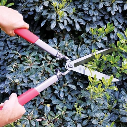 Imagen de producto 5