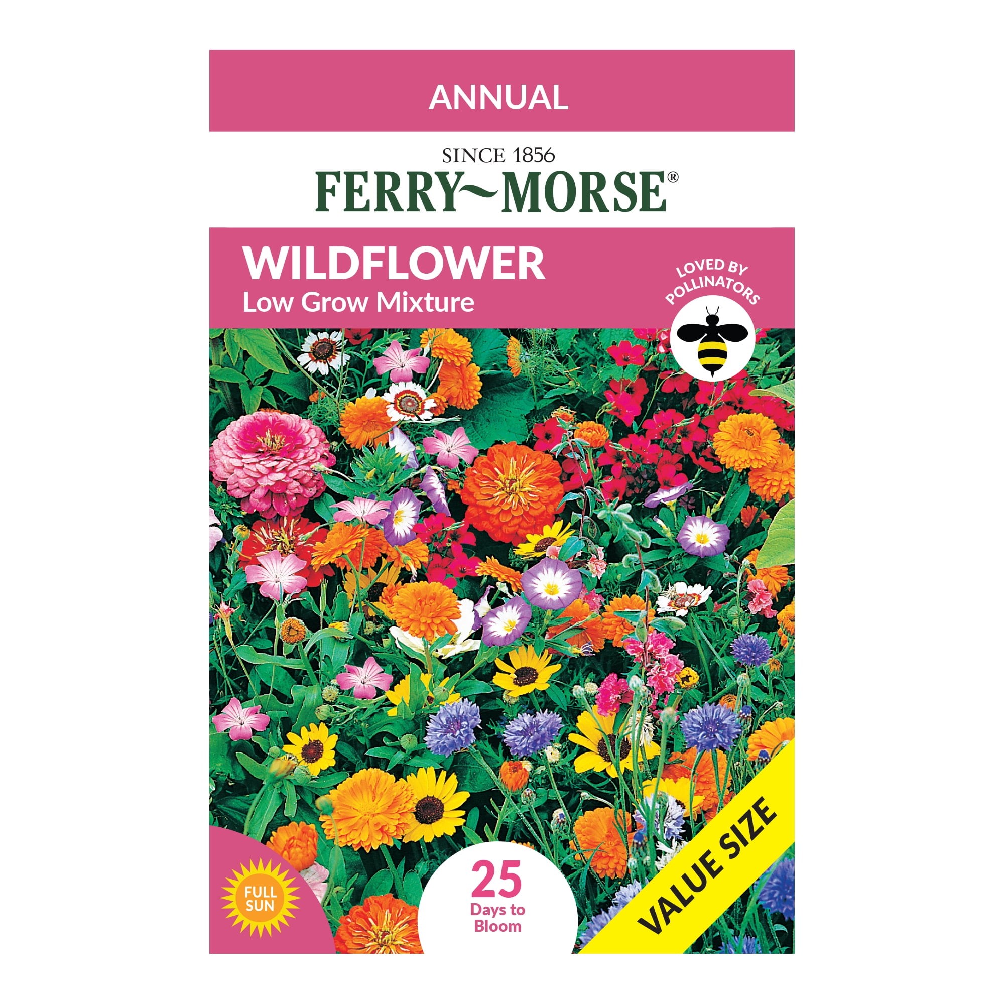 Imagen de producto 1