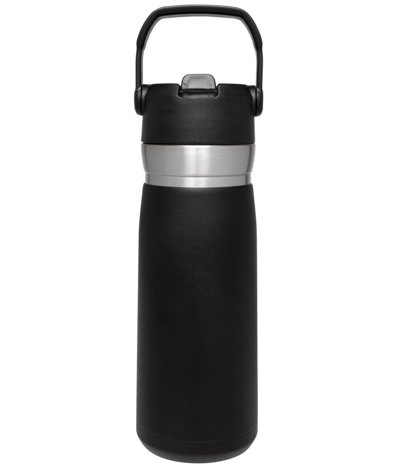 STANLEY 22 oz Green and Silver Insulated Stainless Steel Water