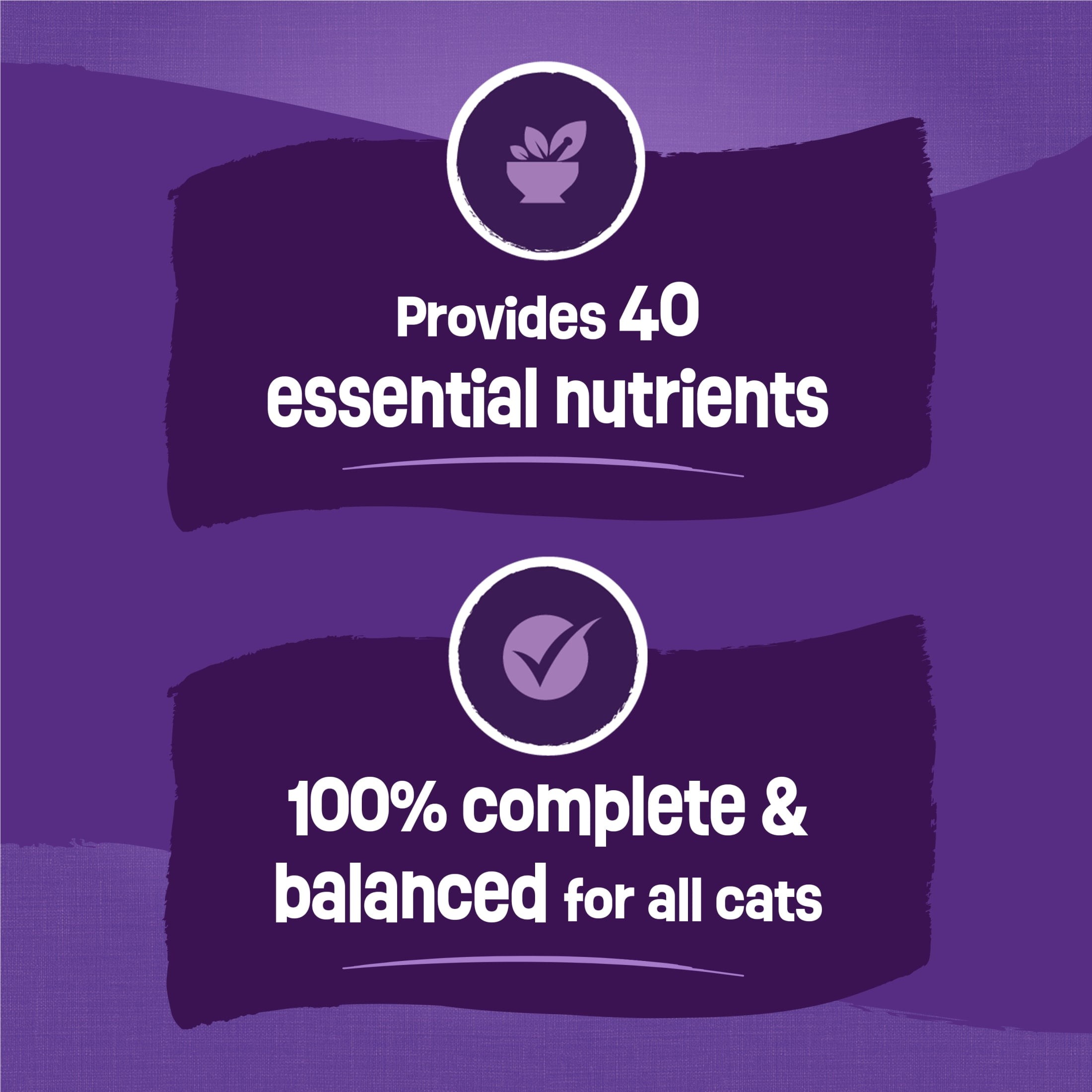 Imagen de producto 5