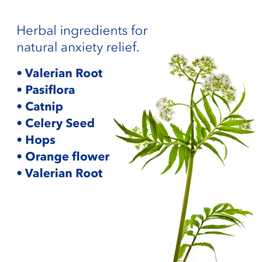 Imagen de producto 7