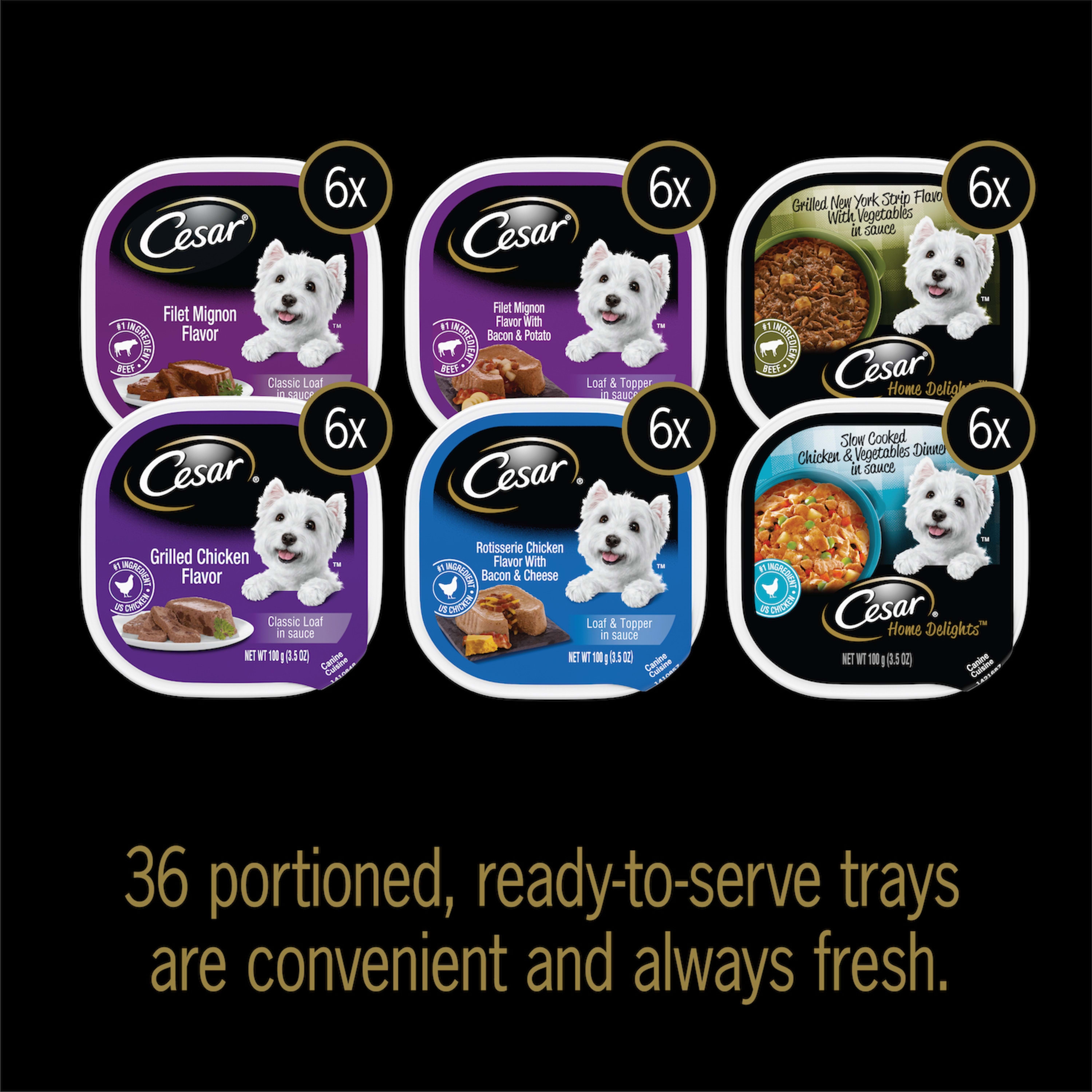 CESAR Wet Dog Food Steak and Chicken Lover's Variety Pack, (36) 3.5 oz