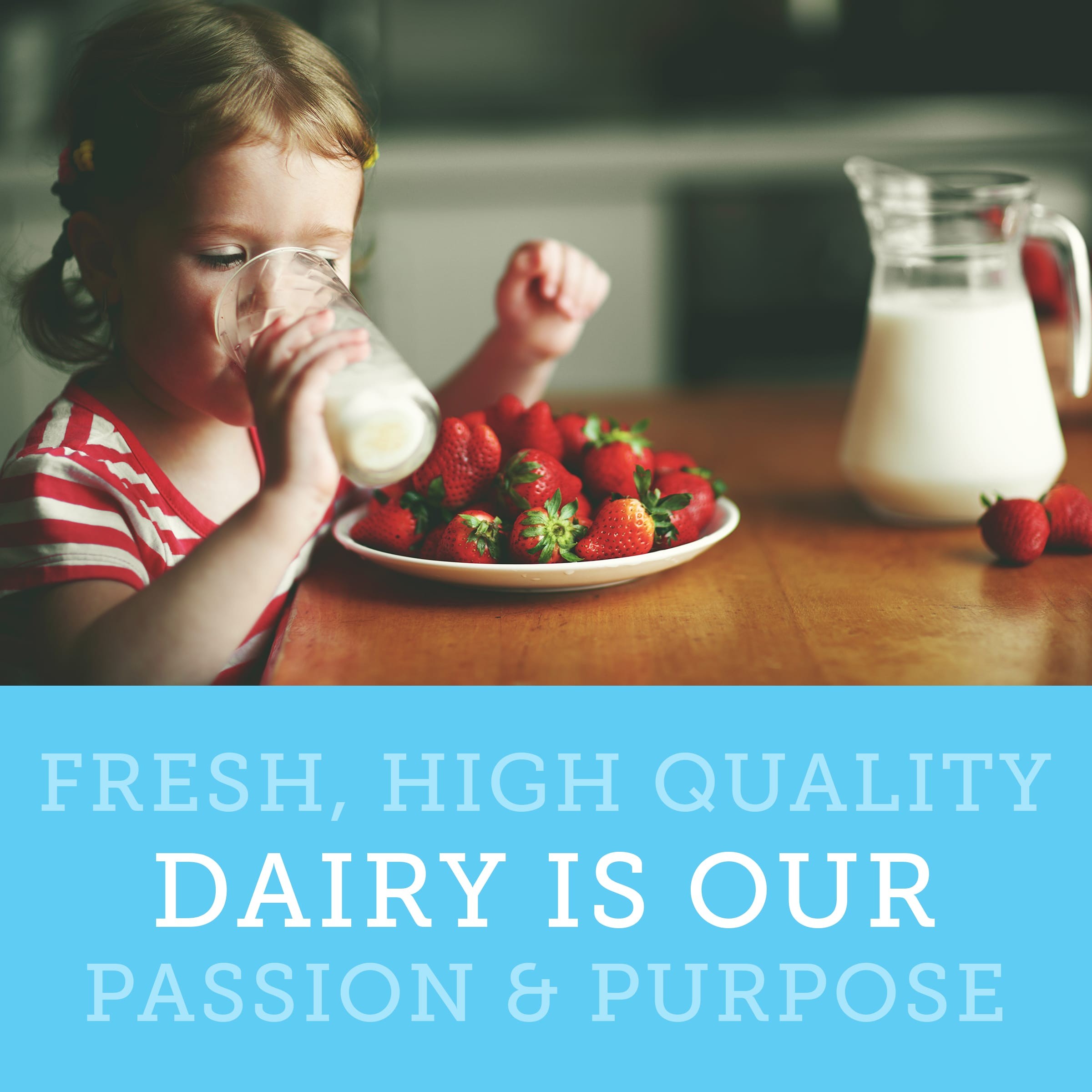 Imagen de producto 5