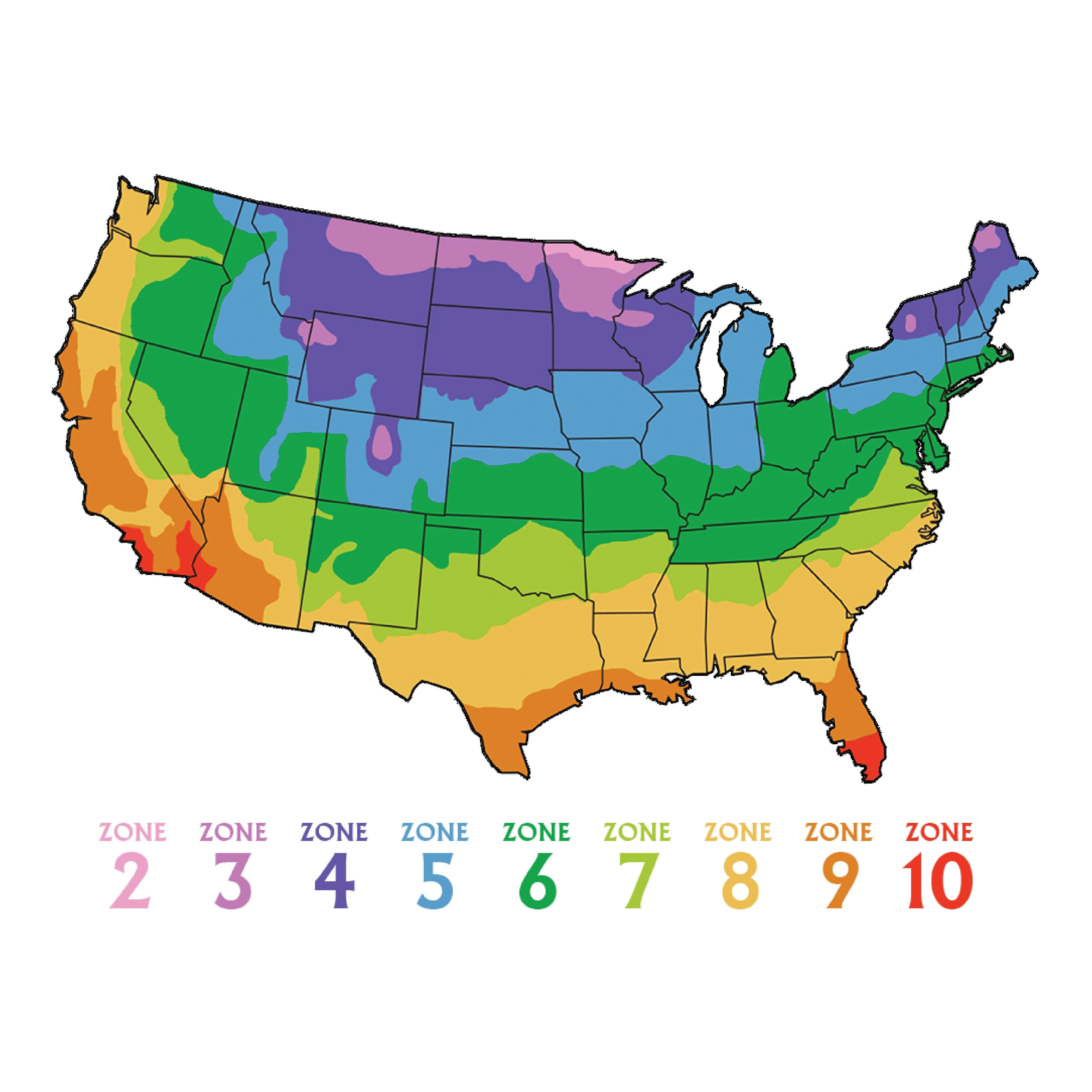 Imagen de producto 4