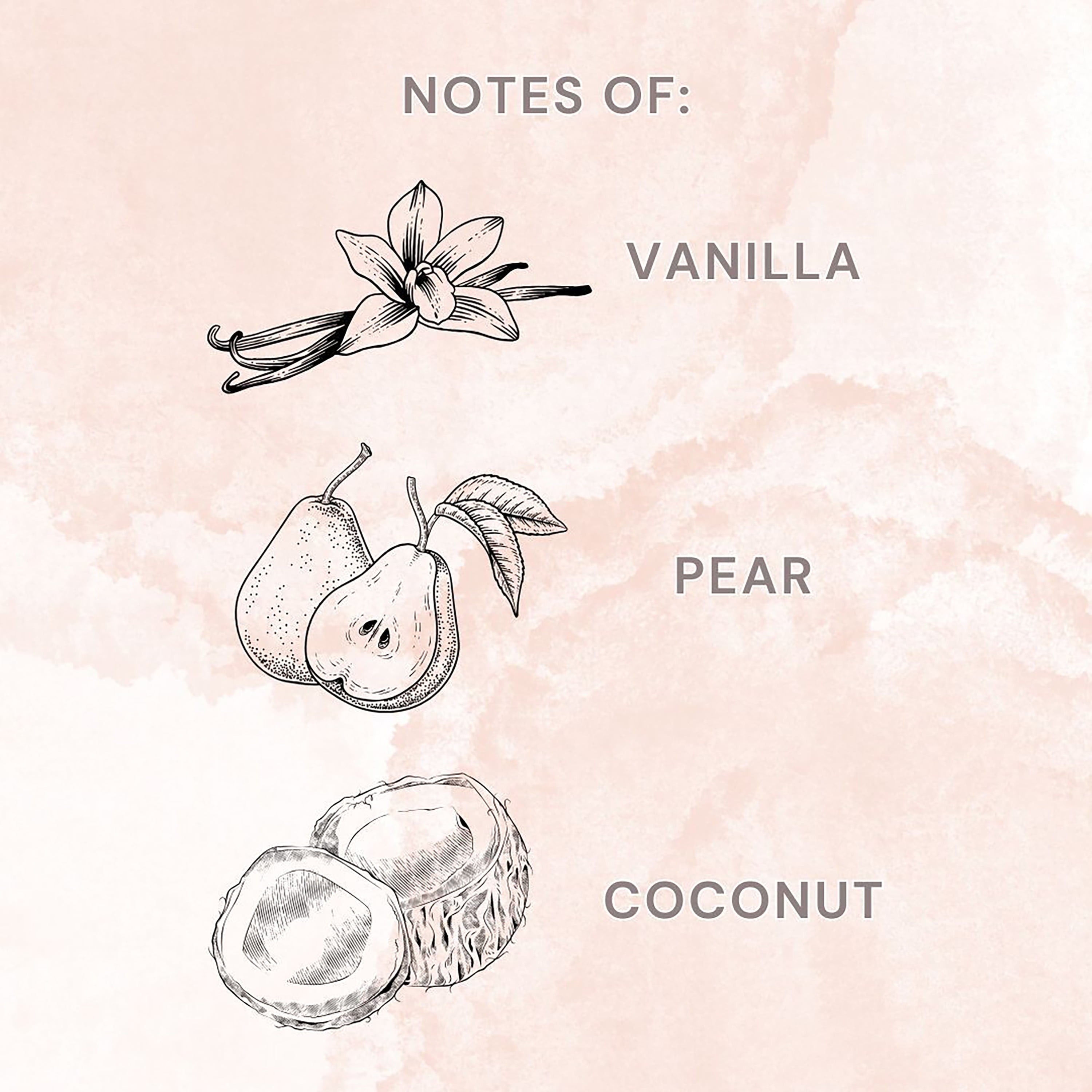 Imagen de producto 7