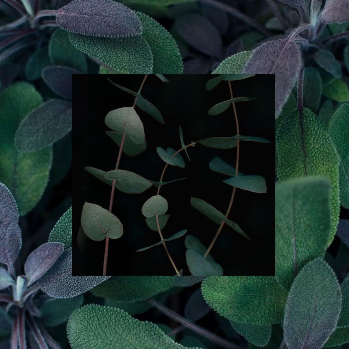 Imagen de producto 7