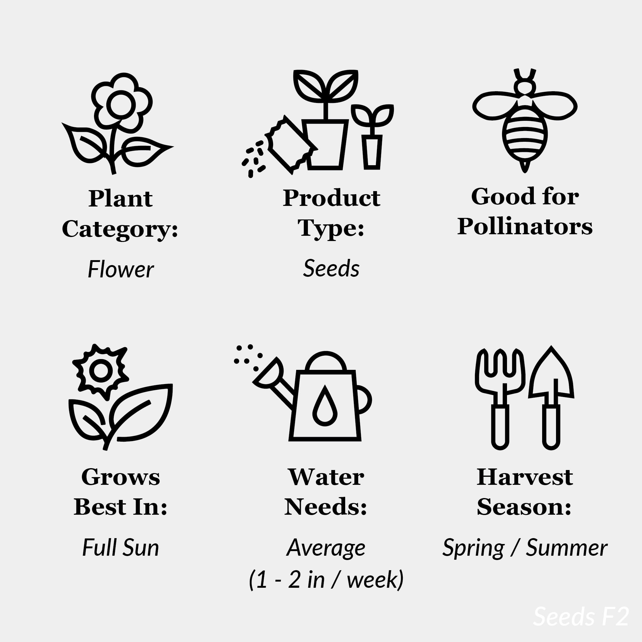 Imagen de producto 5