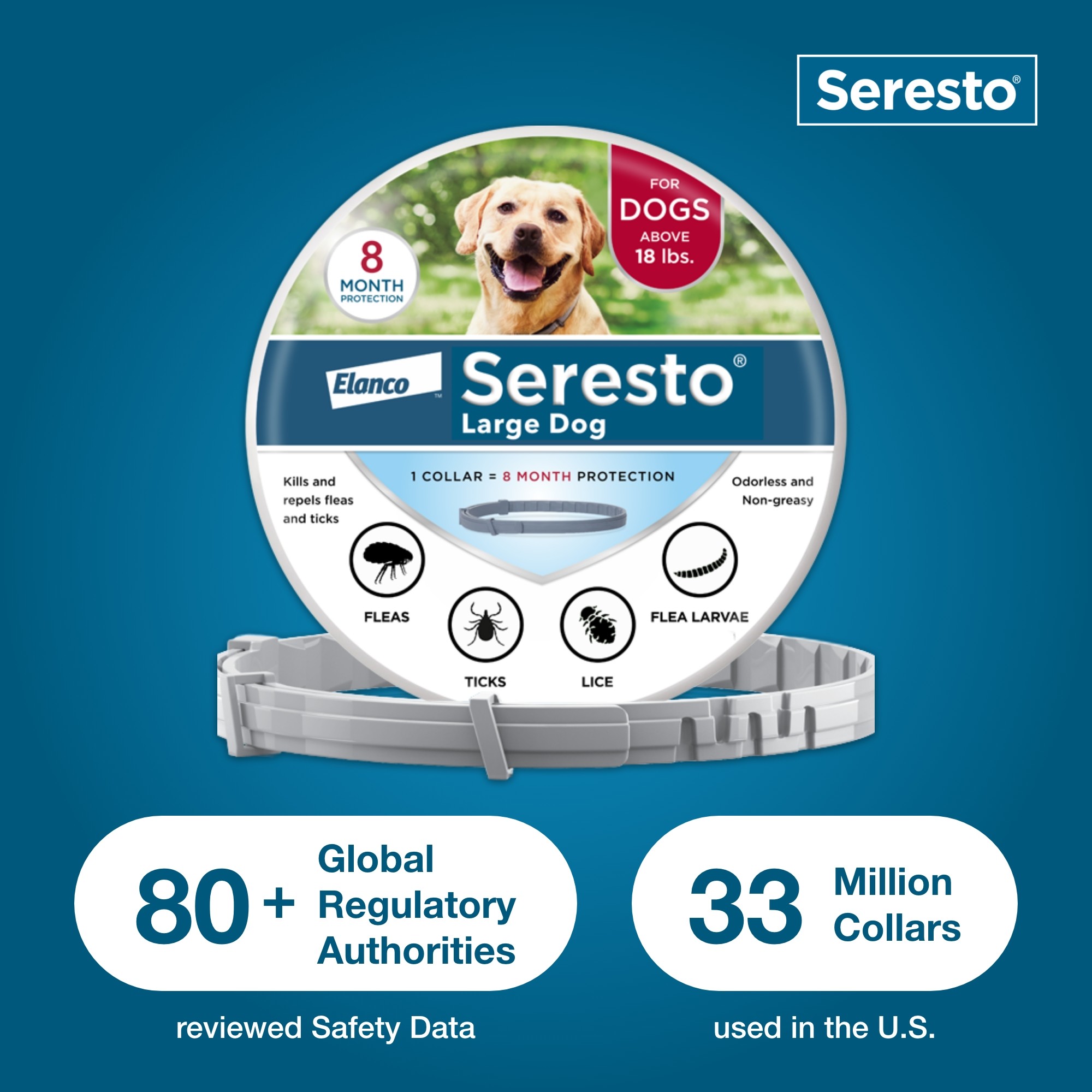 Seresto Large Dog Vet-Recommended Flea & Tick Prevention 8 Month Collar ...