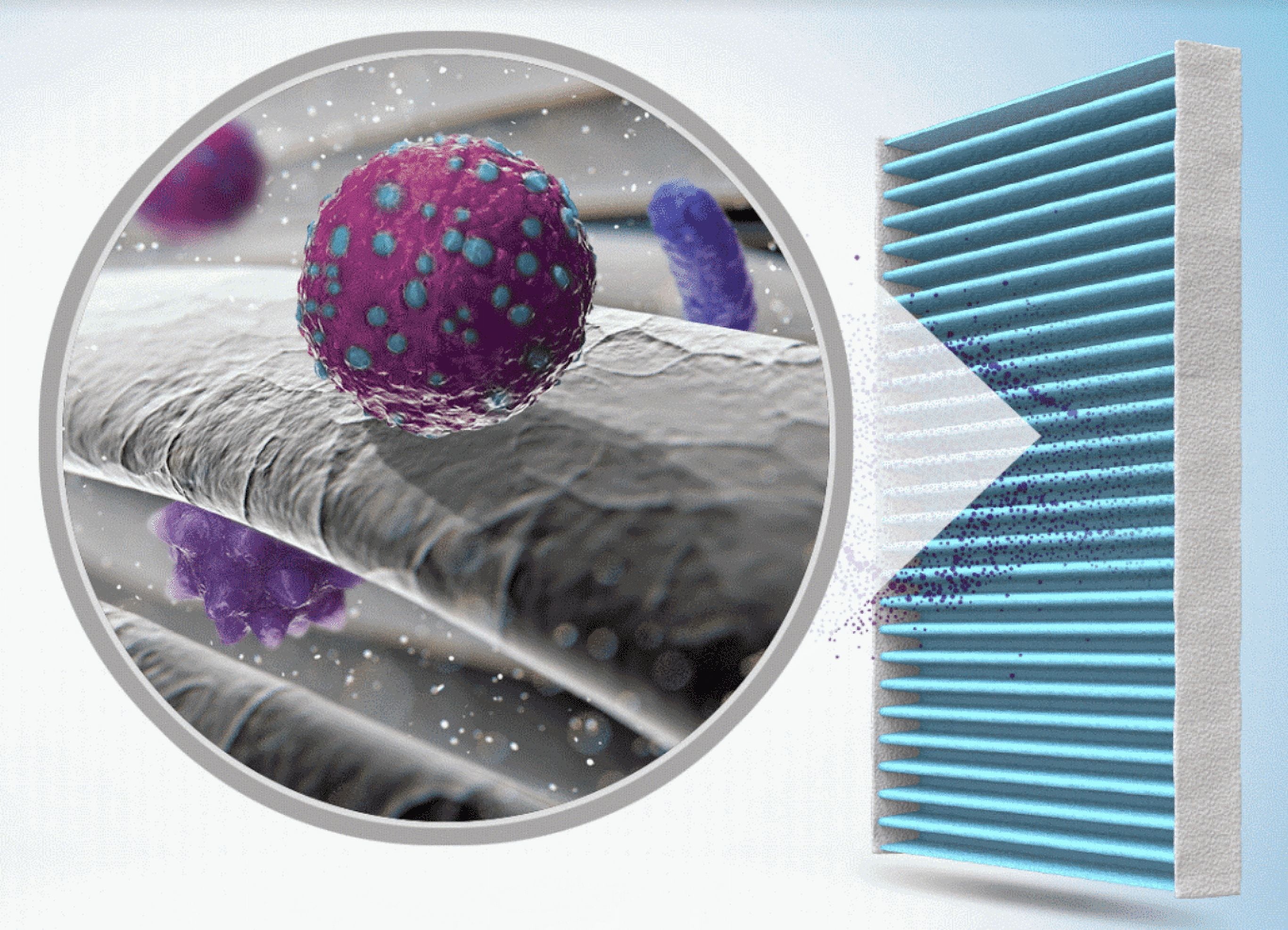 Imagen de producto 4