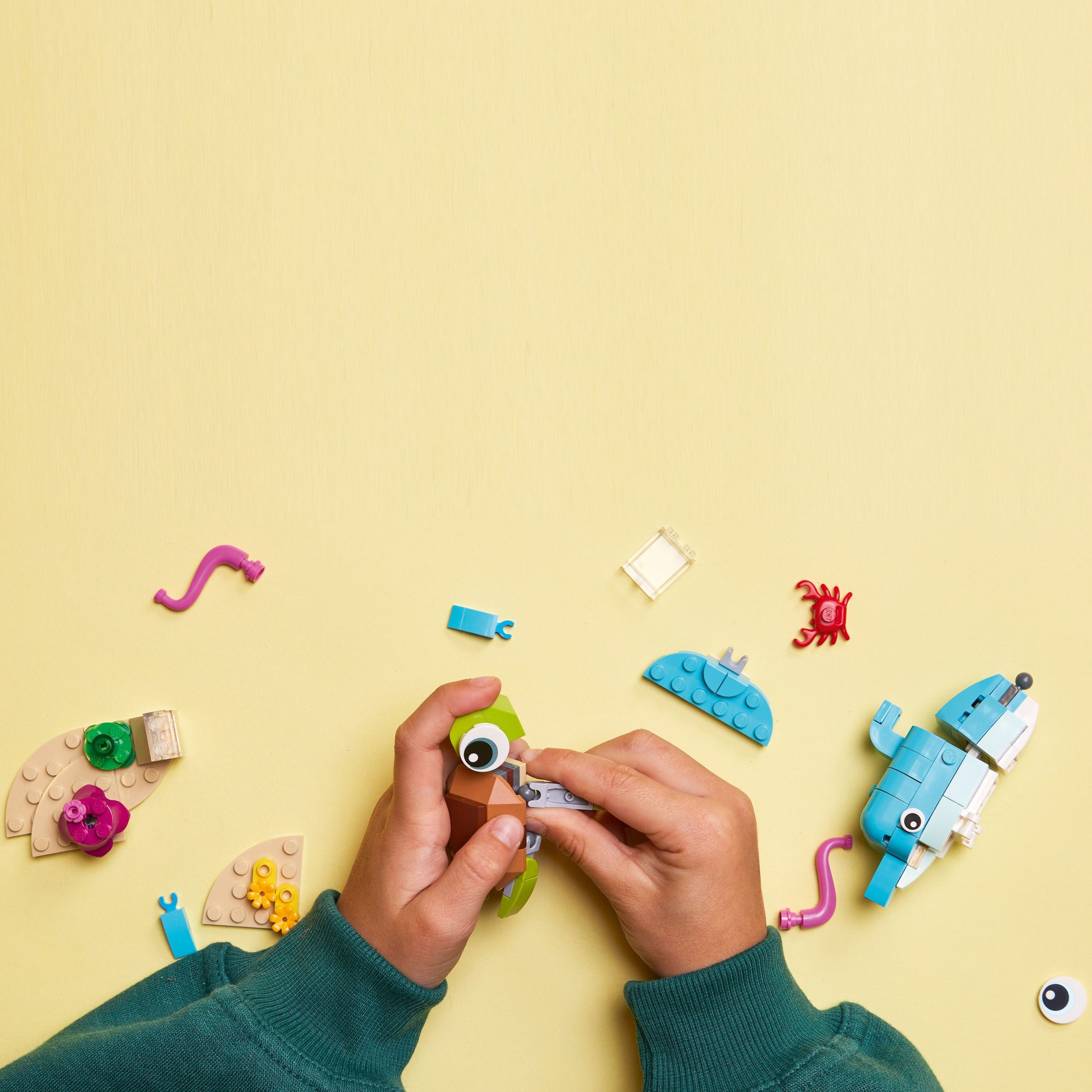 Imagen de producto 5