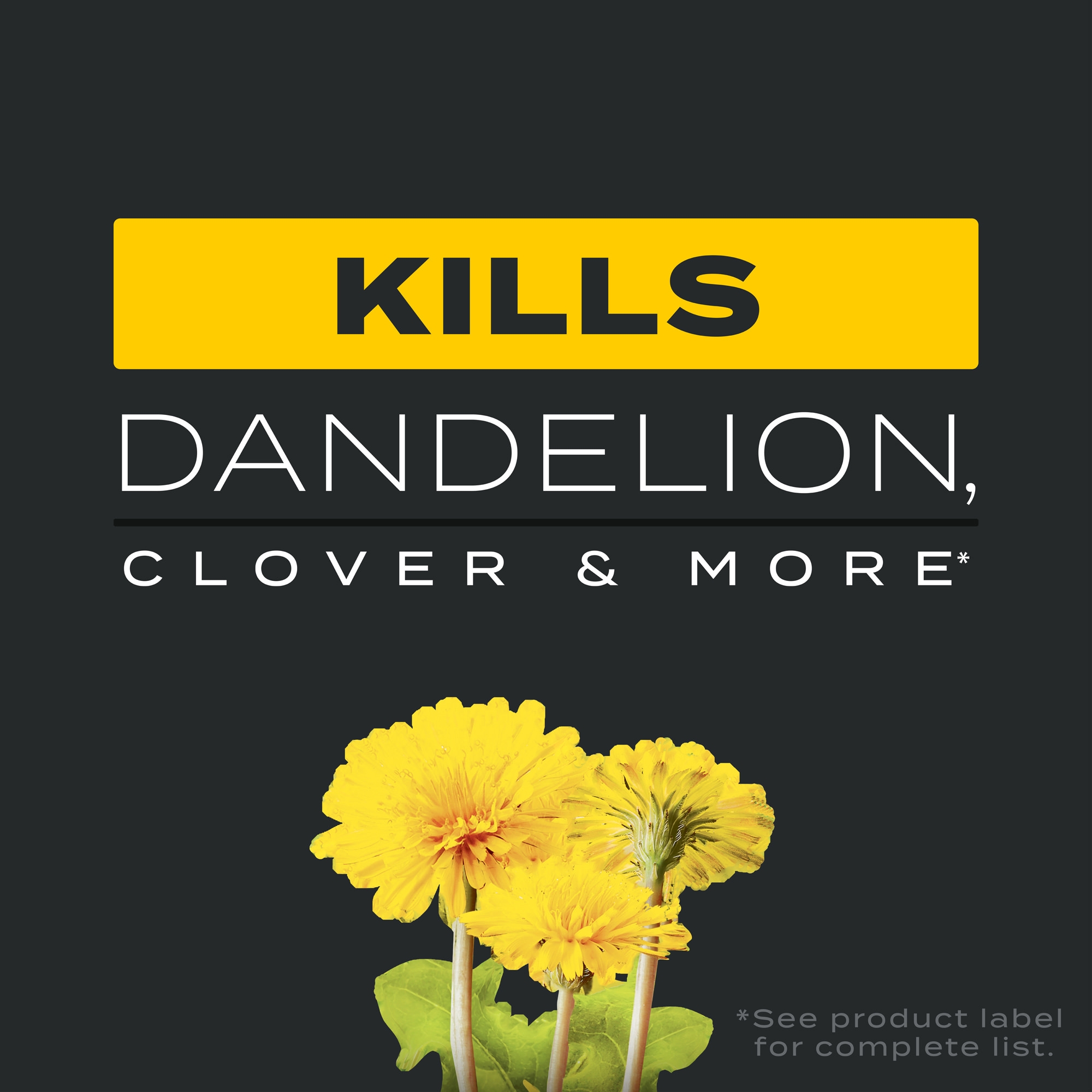 Imagen de producto 2