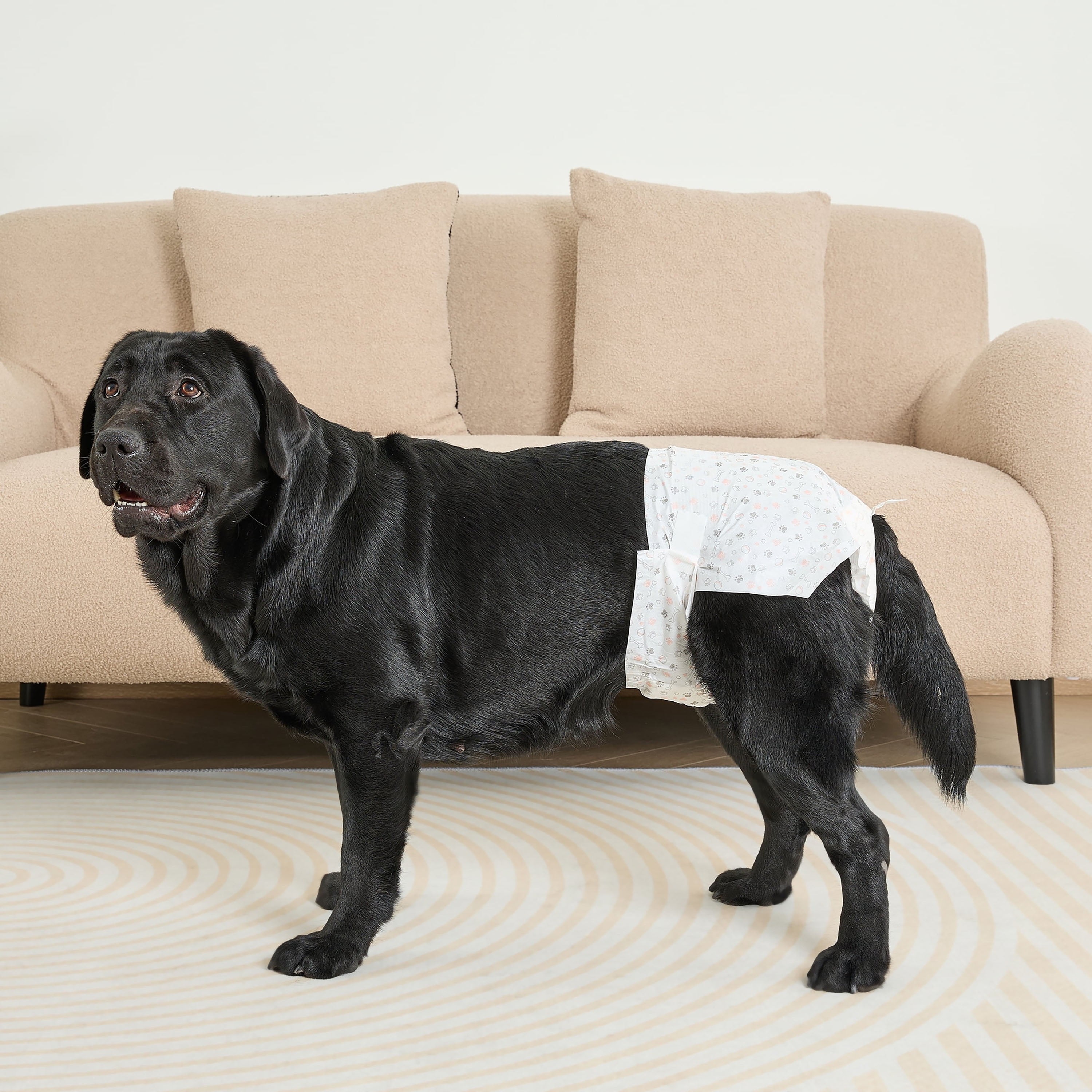 Imagen de producto 3