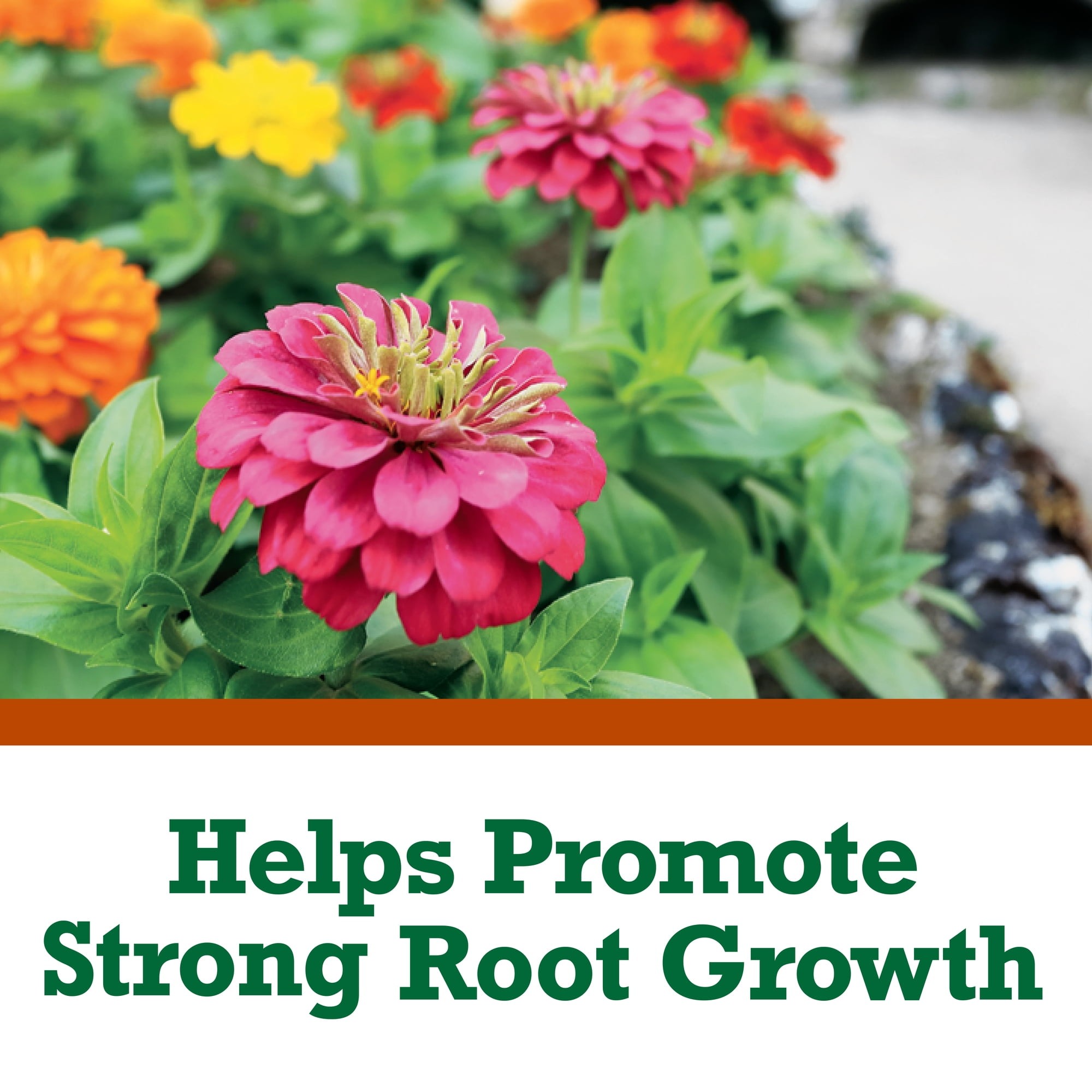 Imagen de producto 6