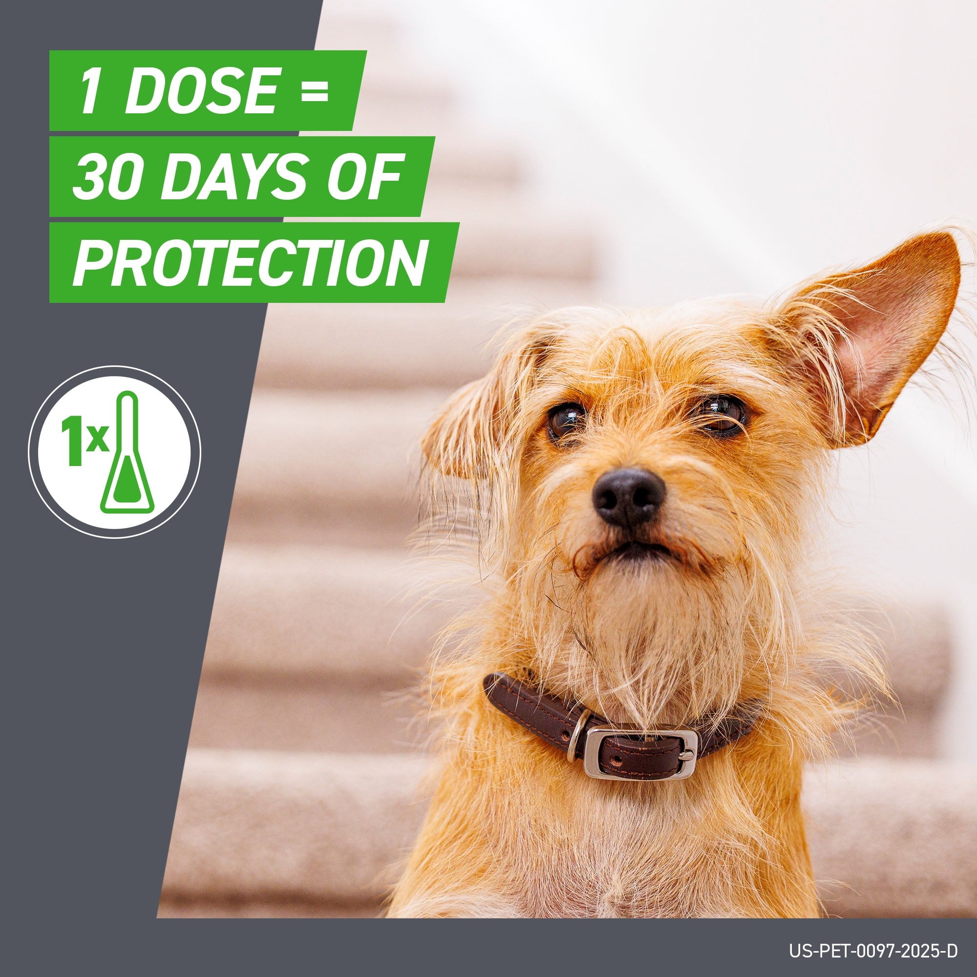 Imagen de producto 5