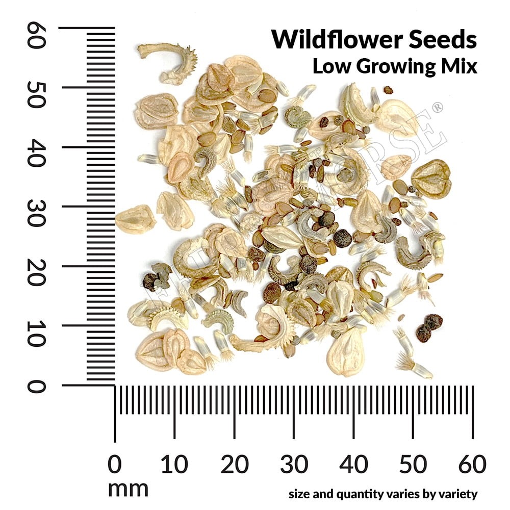 Imagen de producto 2