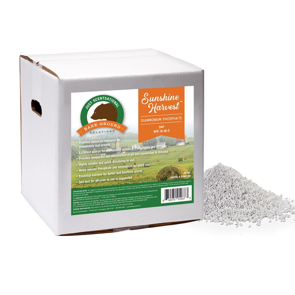 Imagen de producto 1