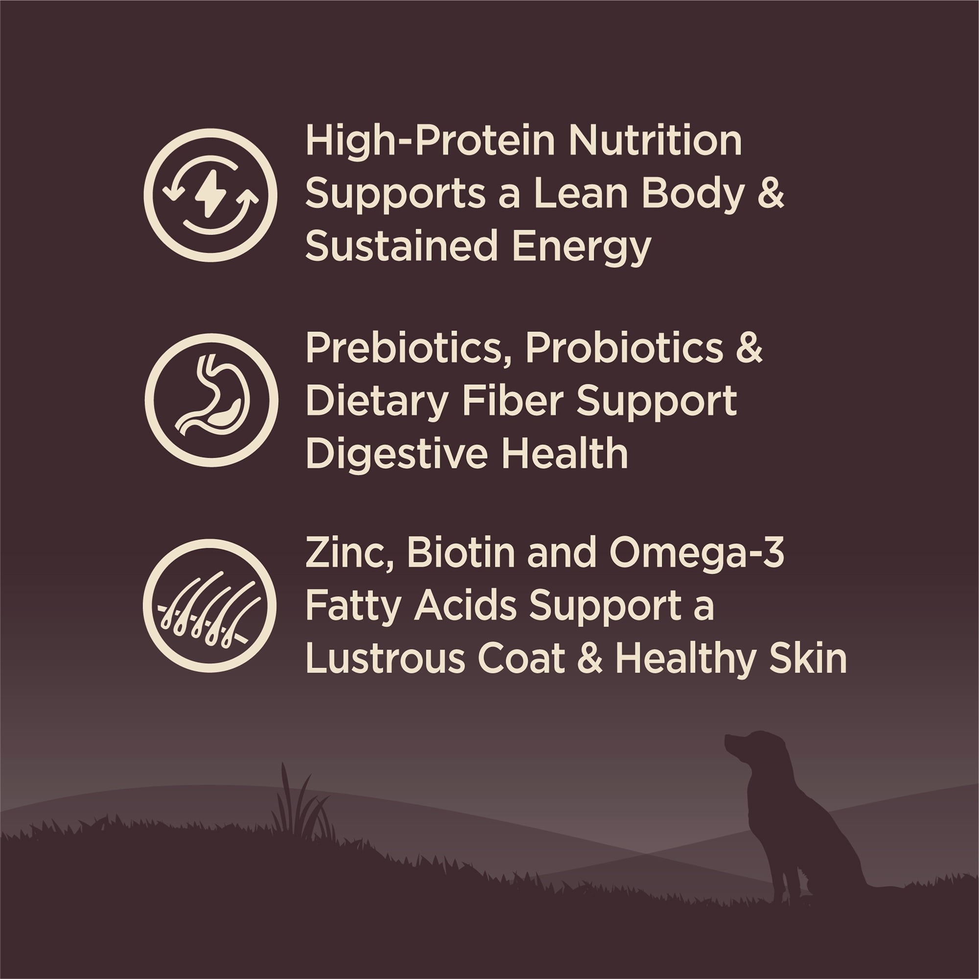 Imagen de producto 2