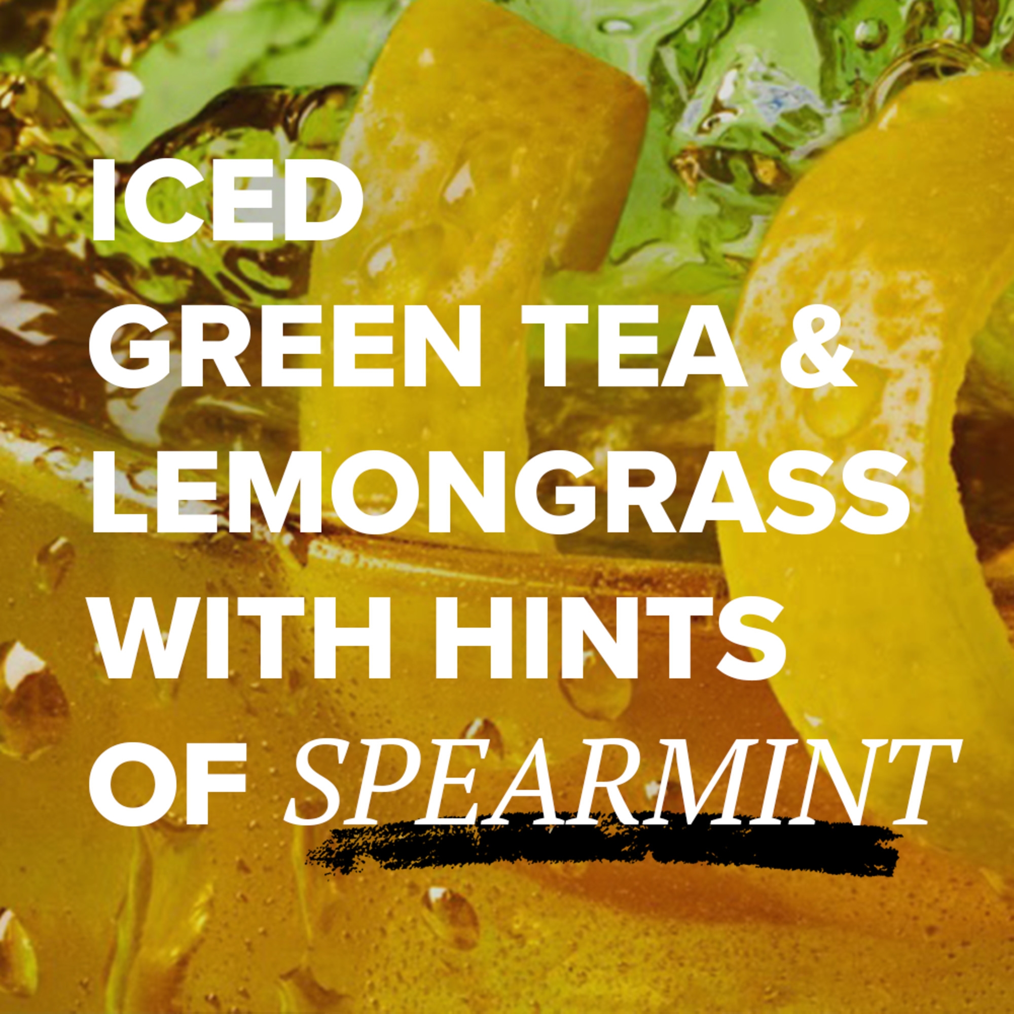 TAZO Zen Iced Tea Concentrate, Green Tea, 32 oz Carton Best Deals and