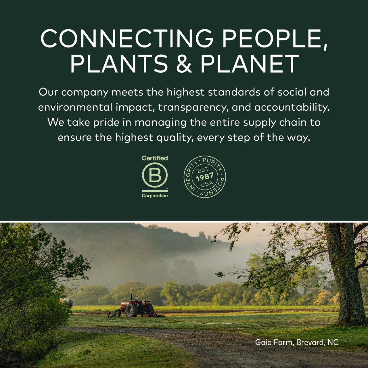 Imagen de producto 5