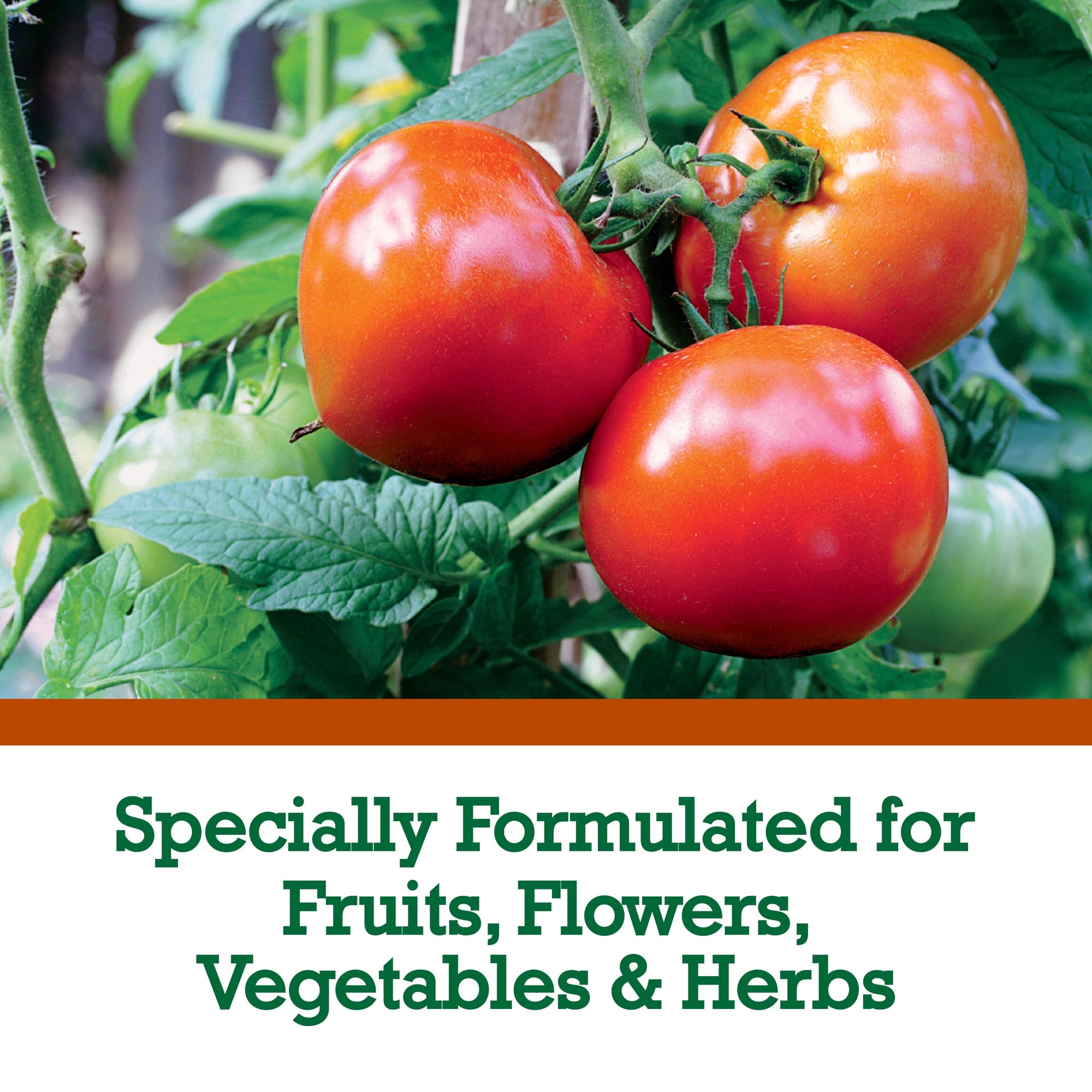 Imagen de producto 5